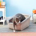 You are currently viewing The Ultimate Guide to Litter Boxes: Benefits, Types, Best Litter, Placement, Cleaning, and More