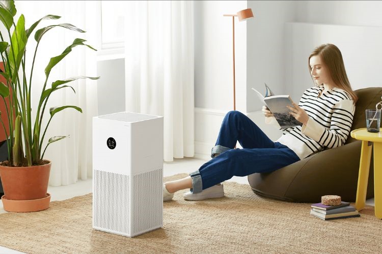 You are currently viewing Choose an Air Purifier for Your Home