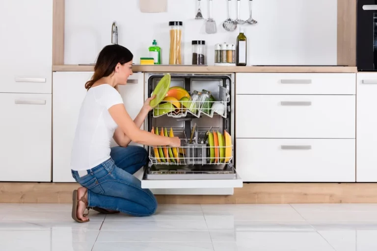 The Revolutionary Rise of Dishwashers