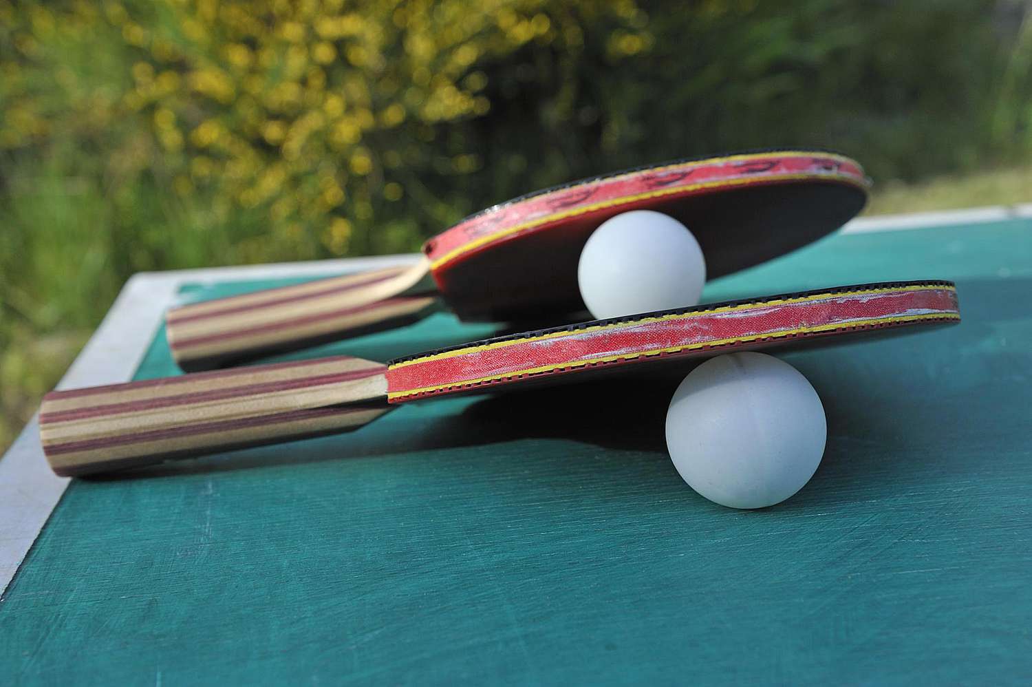 Read more about the article The Essentials of a Table Tennis Bat